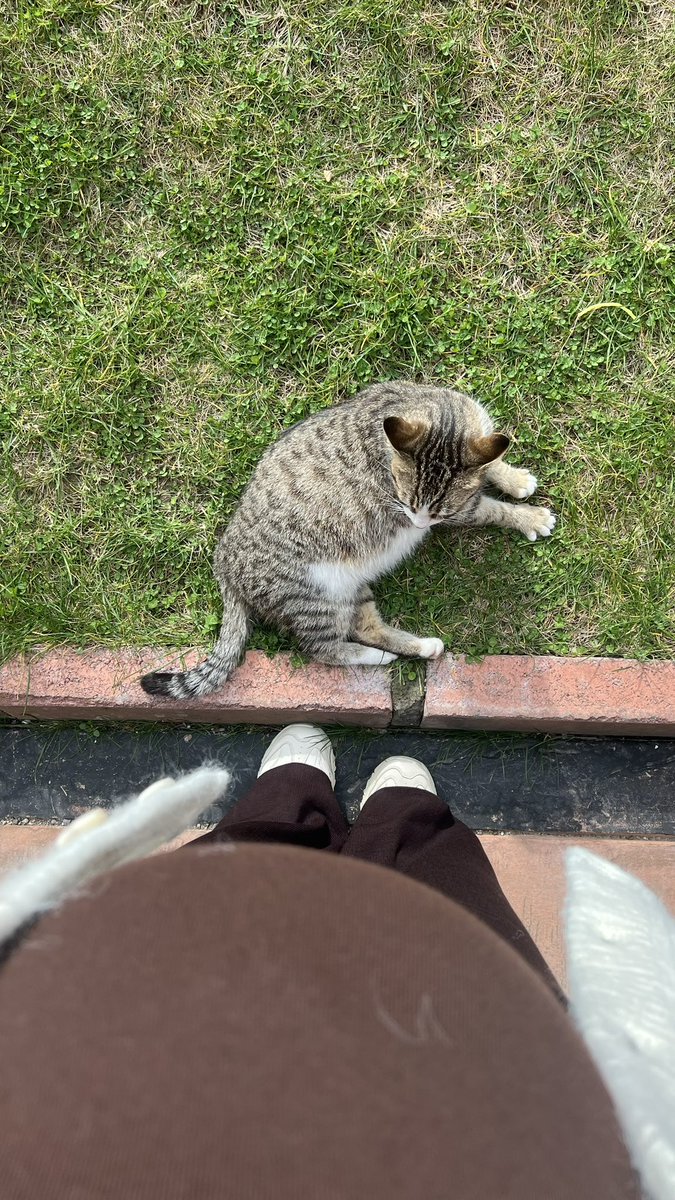 ebruduman___'s tweet photo. Mucizelere inanın 🥹🐾👼🏻 https://t.co/tyVRD1edCD