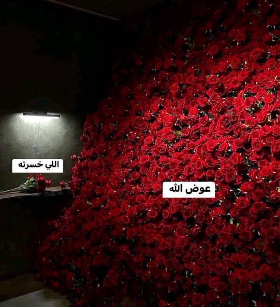 ثم يعوّضك
و ما أدراك ما عوَض الله