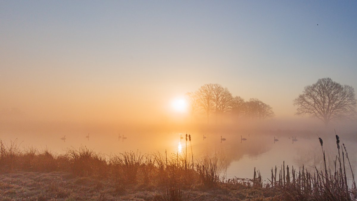 AnnySpoolder's tweet photo. Wat was het een magische ochtend in #Wierden #Rectum #Dakhorst #waterbuffer #vitens @pictureofNL #mist https://t.co/HNcHnhe6AN