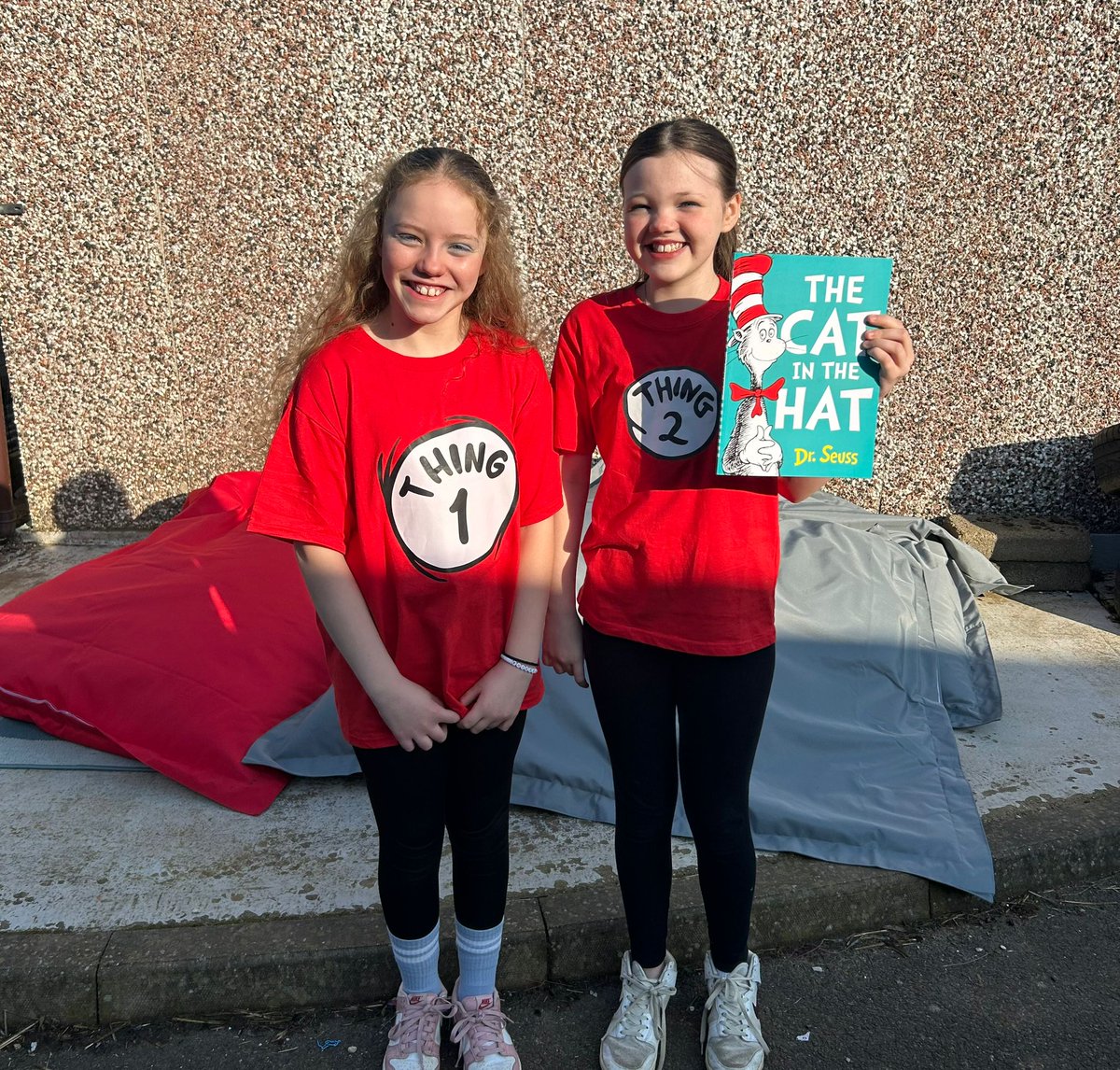 Seahorses Class tweet media