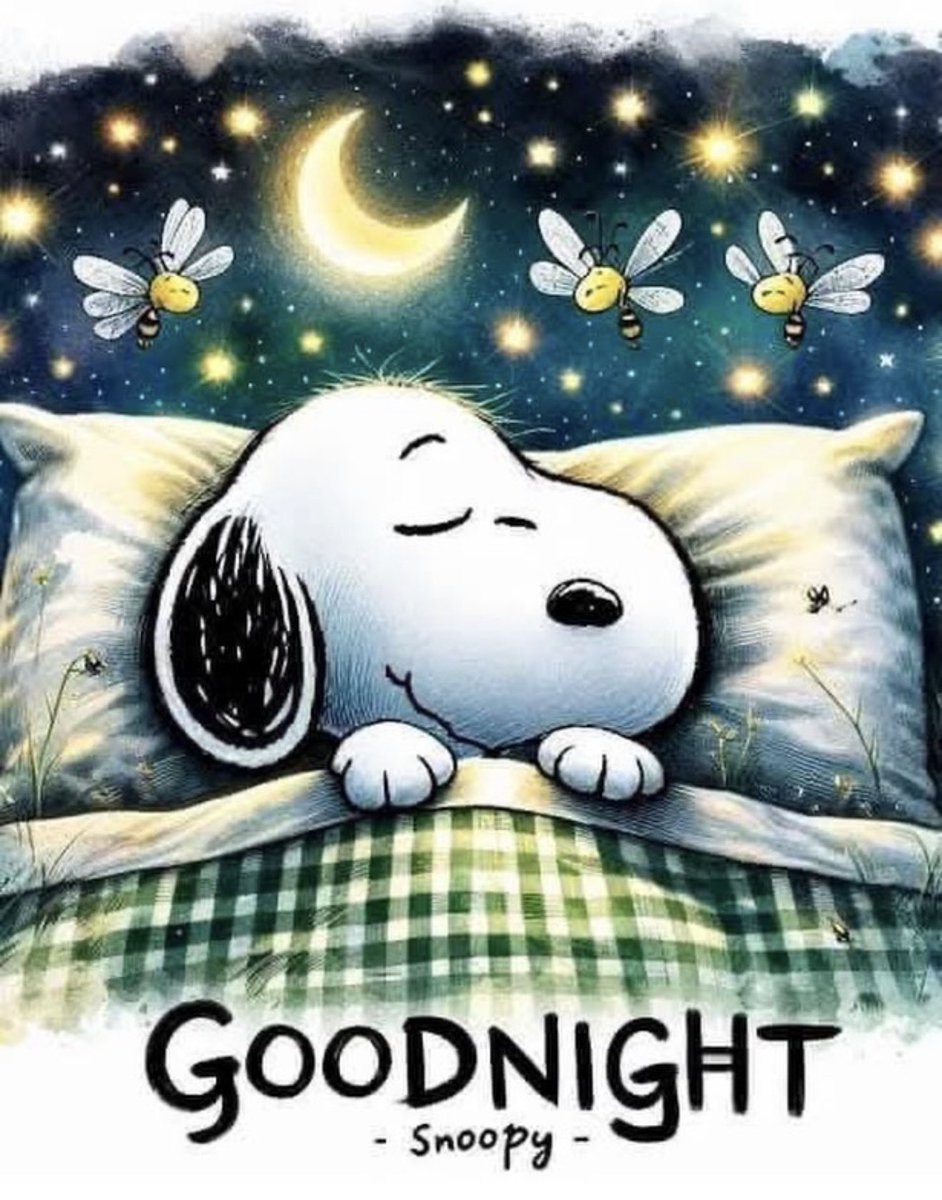 Buonanotte a domani twitterini amici belli sogni d'oro a tutti
