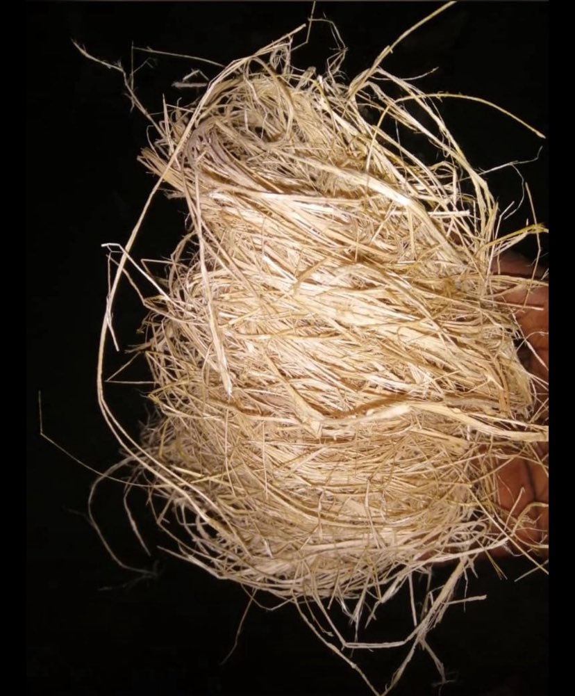 The one >>>>>>>>>>>>>>>>>>>