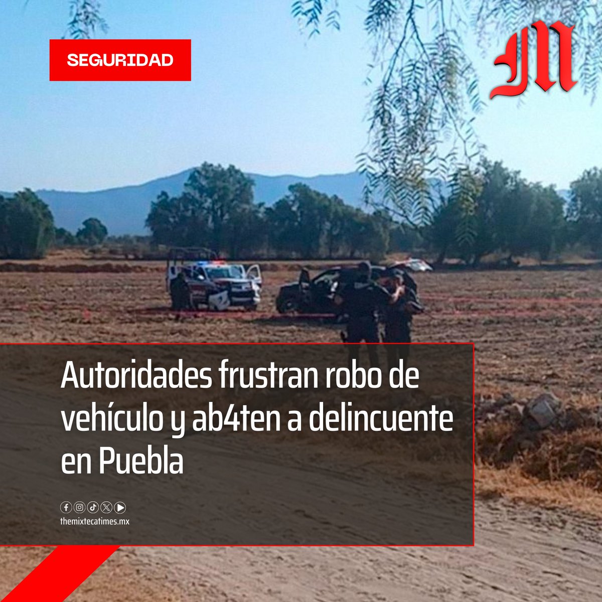 TheMixtecaTimes's tweet photo. 🚨 Se informa la detención de un masculino, un probable responsable sin v1da y el aseguramiento de dos arm4s y una camioneta en el municipio de General Felipe Ángeles.

https://t.co/oYUfiIXlAk https://t.co/ZZsmu6NWkr