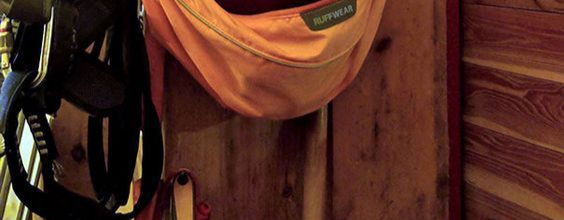 ومضة tweet media