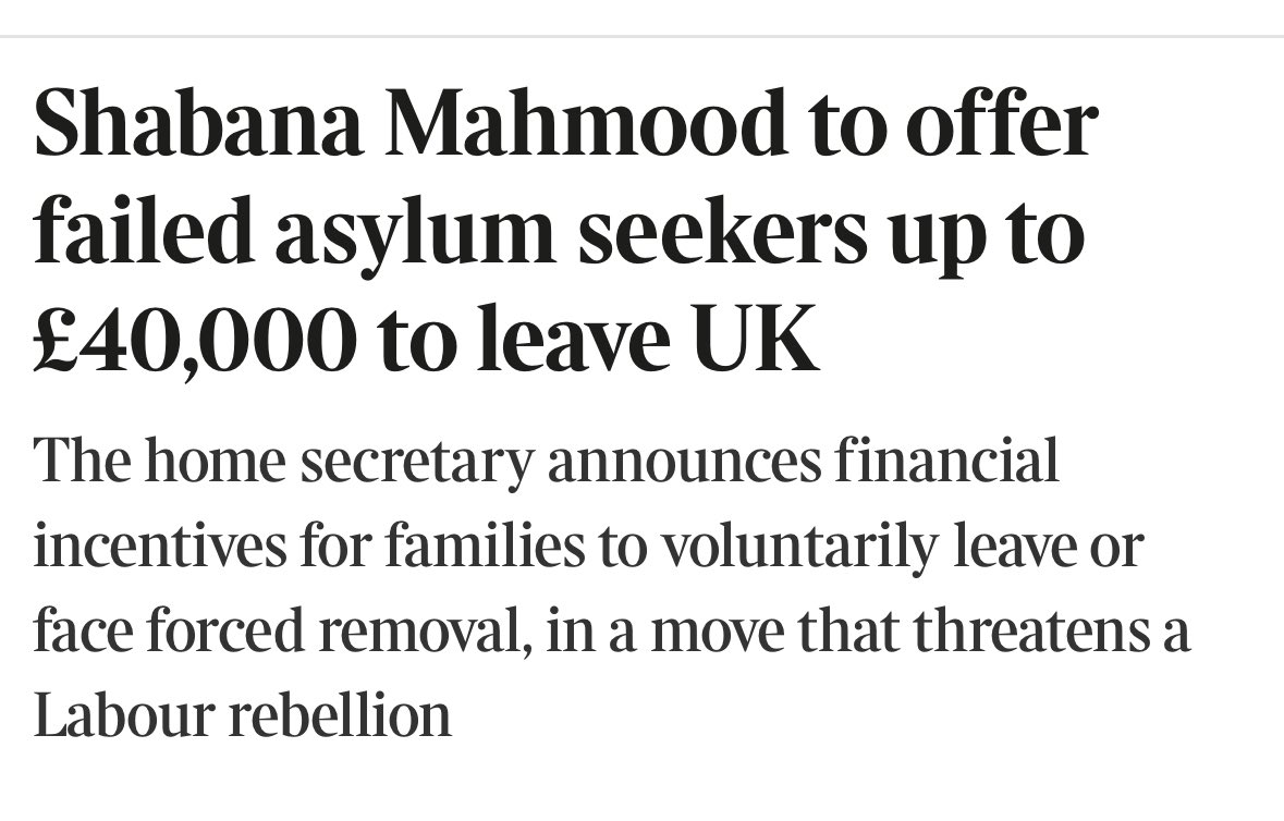 Bella Wallersteiner 🇺🇦 tweet media