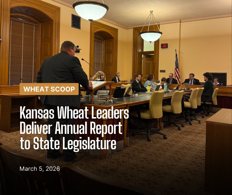 KansasWheat tweet media