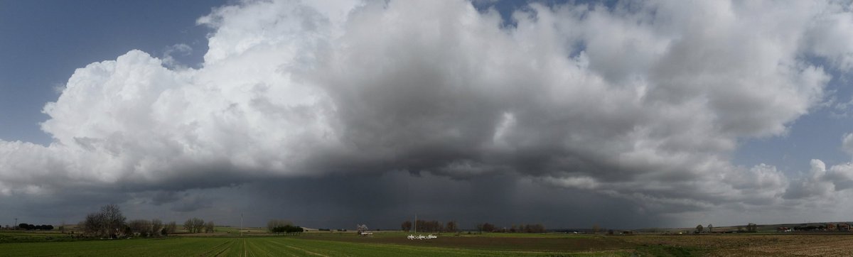 Ana María Herrero tweet media