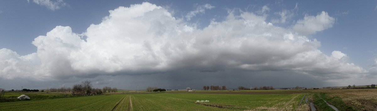 Ana María Herrero tweet media