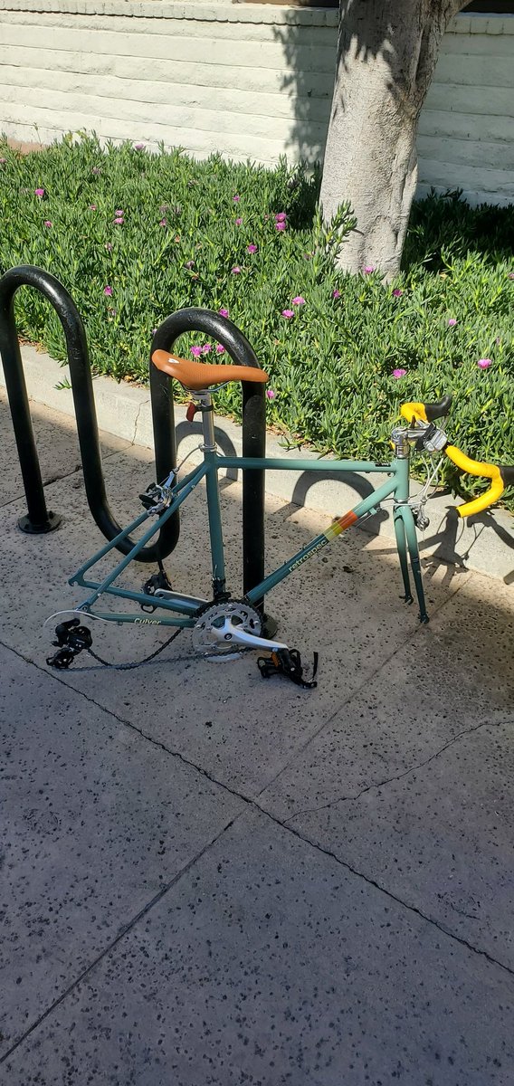 Steve Kangas tweet media