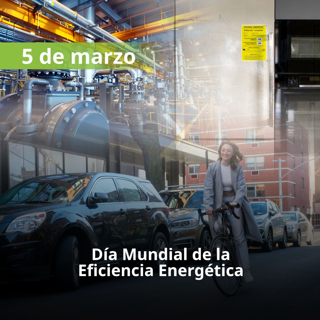 CONUEE_mx tweet media