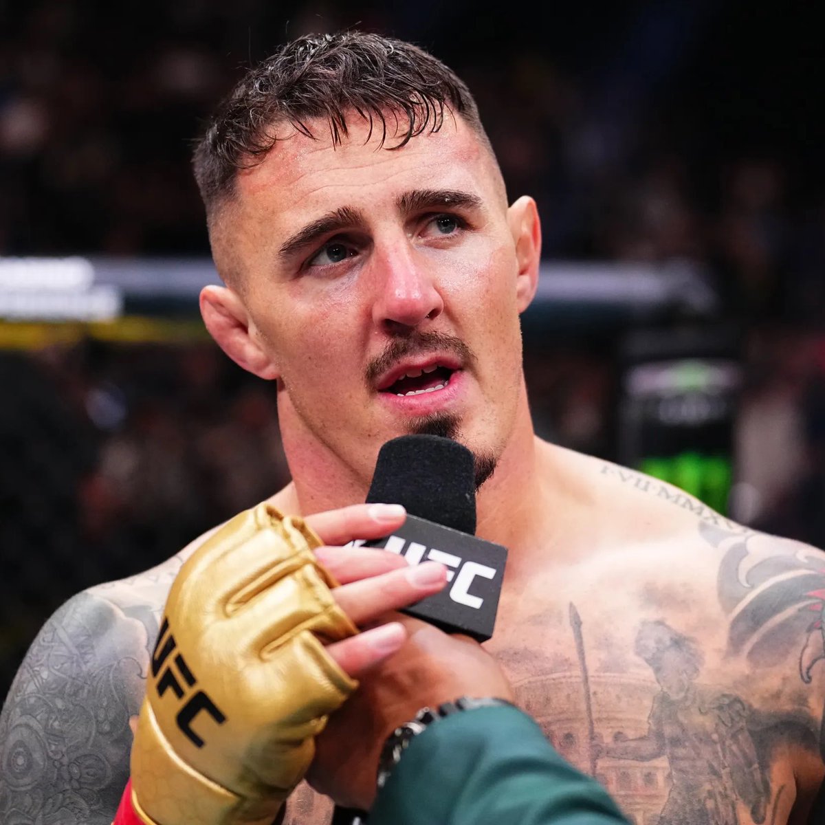 MMA Orbit tweet media