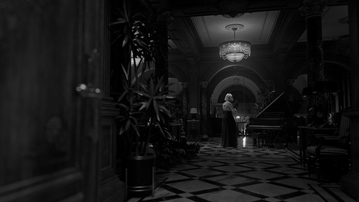 Cuculus 📸 tweet media