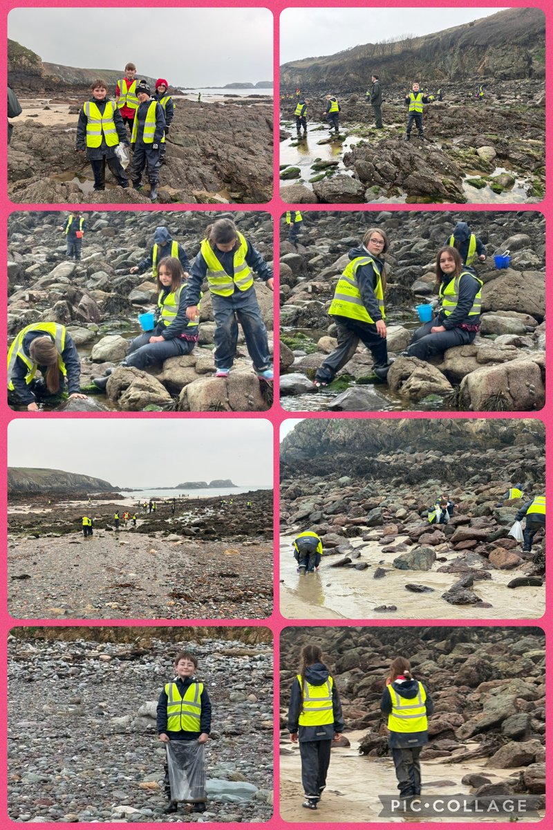 Sandfields Primary School tweet media