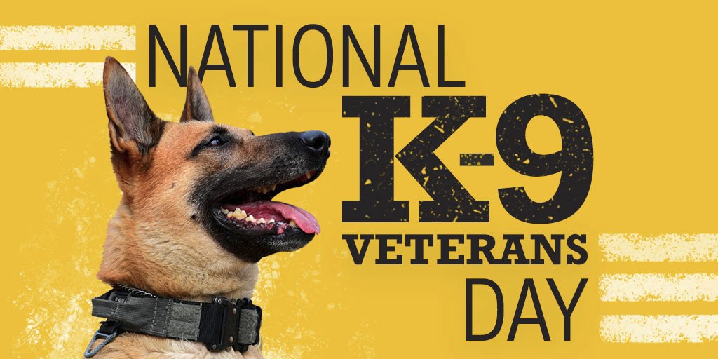 Rep. Scott Perry tweet media