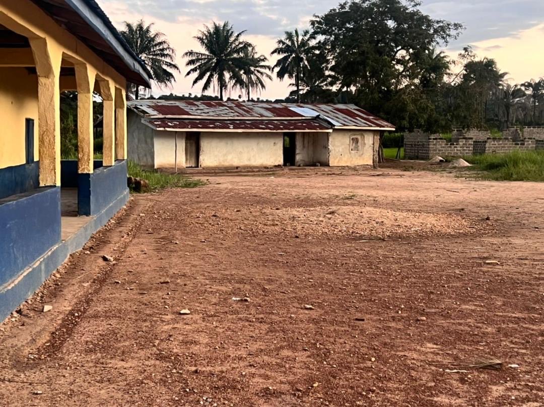 Friends of Sierra Leone tweet media