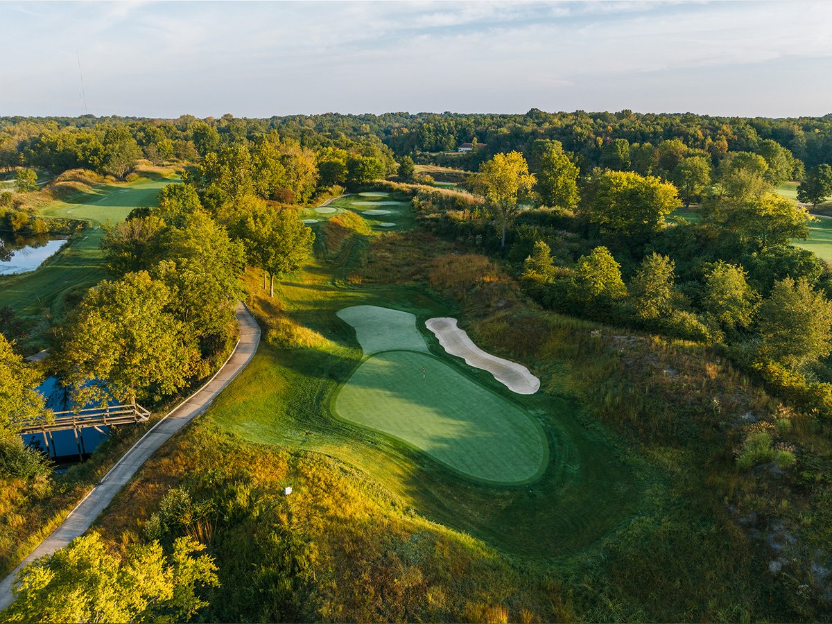 Dormie Network tweet media