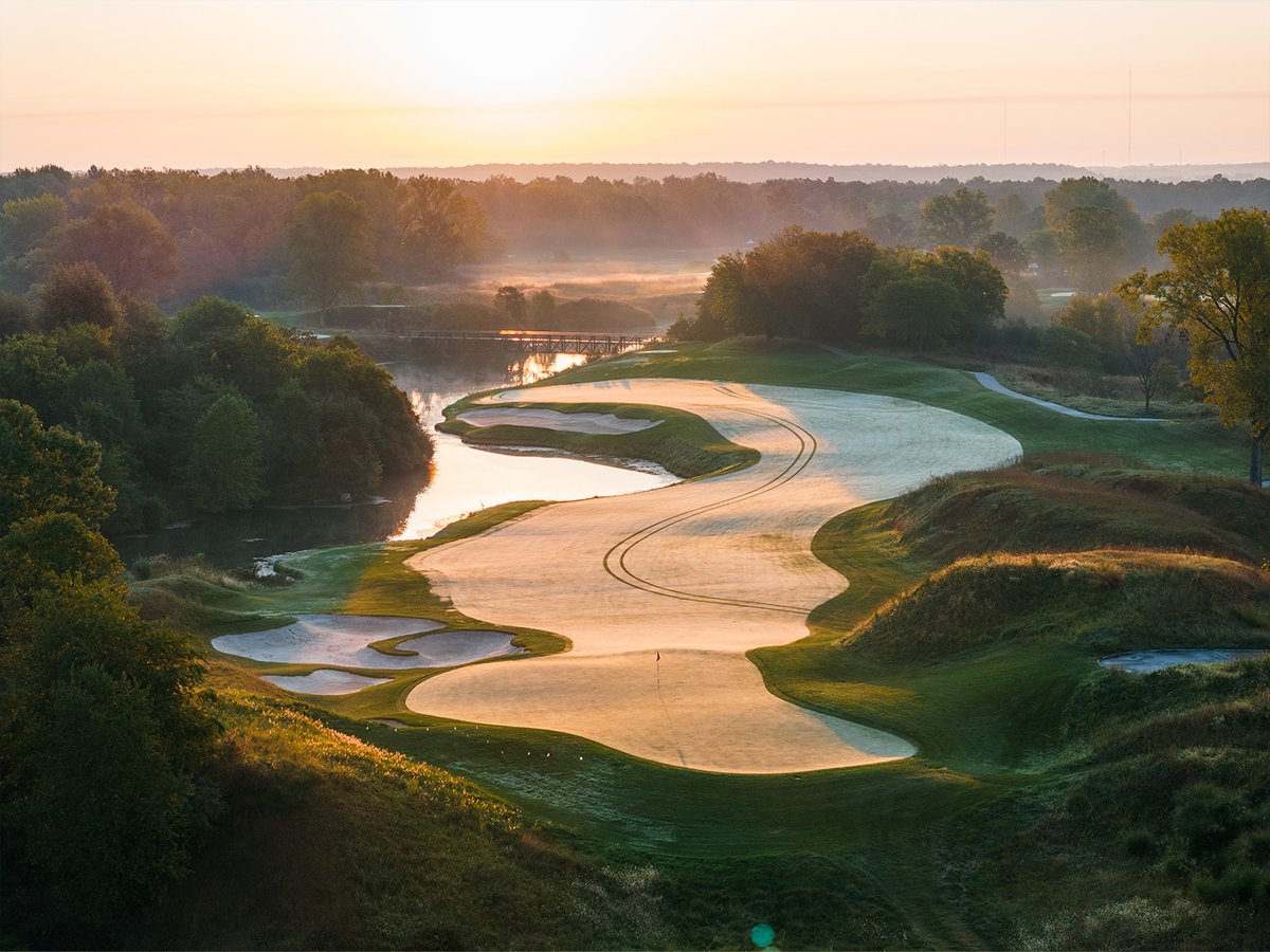 Dormie Network tweet media