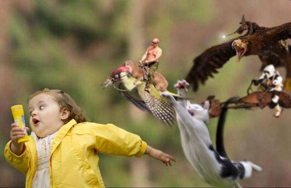 ๐ญ๐๐๐๐ ๐๐ ๐ญ๐๐๐๐๐ tweet media