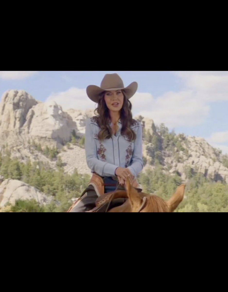 Brian Krassenstein tweet media