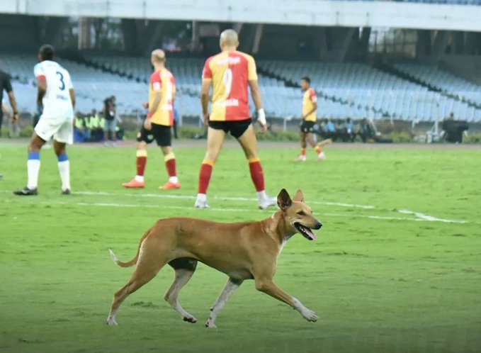 AbhroFC's tweet photo. What Mohun Bagan Fan is doing in East Bengal's match ?? 🤔

#ISL12 #EBFC #IndianFootball https://t.co/L0DrEaNvYe