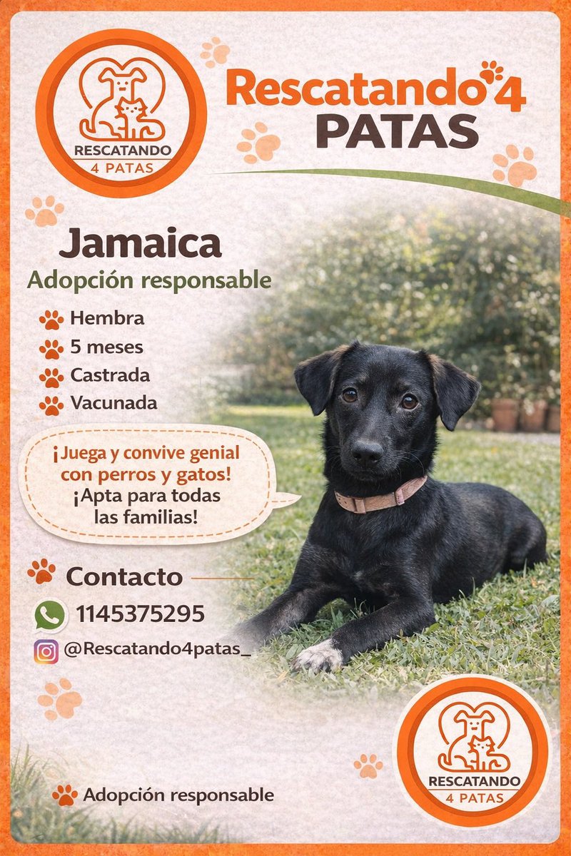 🐾 Somos Rescatando4patas
Rescatamos perros abandonados y buscamos familias responsables ❤️

📍 Buenos Aires
📲 Adopciones
📸 Instagram: @rescatando4patas_

🙏 Compartir salva vidas