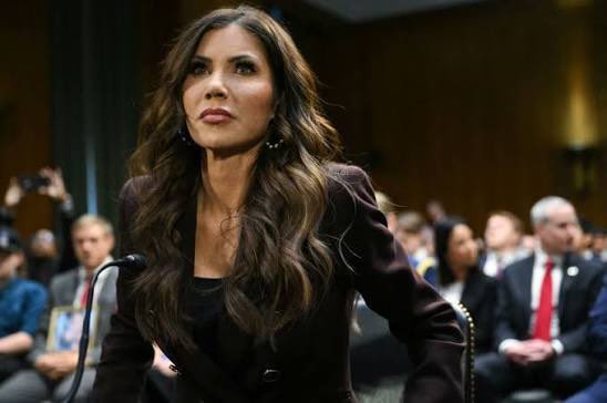 AmericanPapaBear™ tweet media