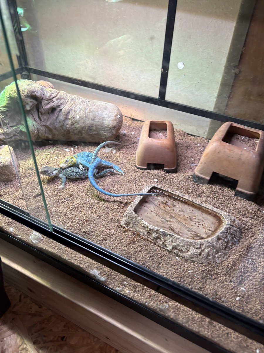 今日はここまで！ 後2時間後にはお仕事😭 おやすみなさい！ #木製