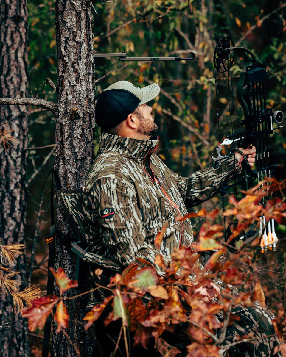 Summit Treestands tweet media