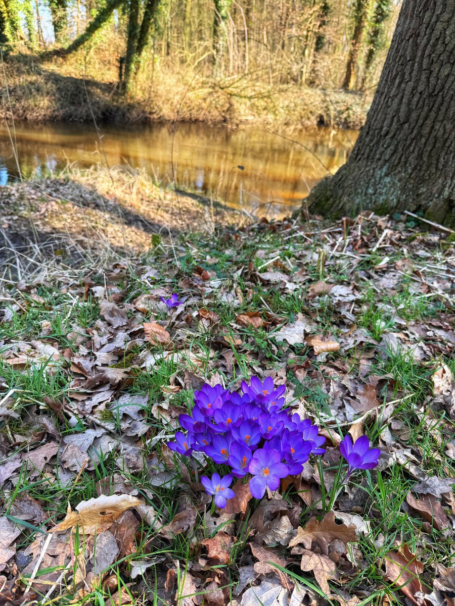 Truus Wijnen tweet media