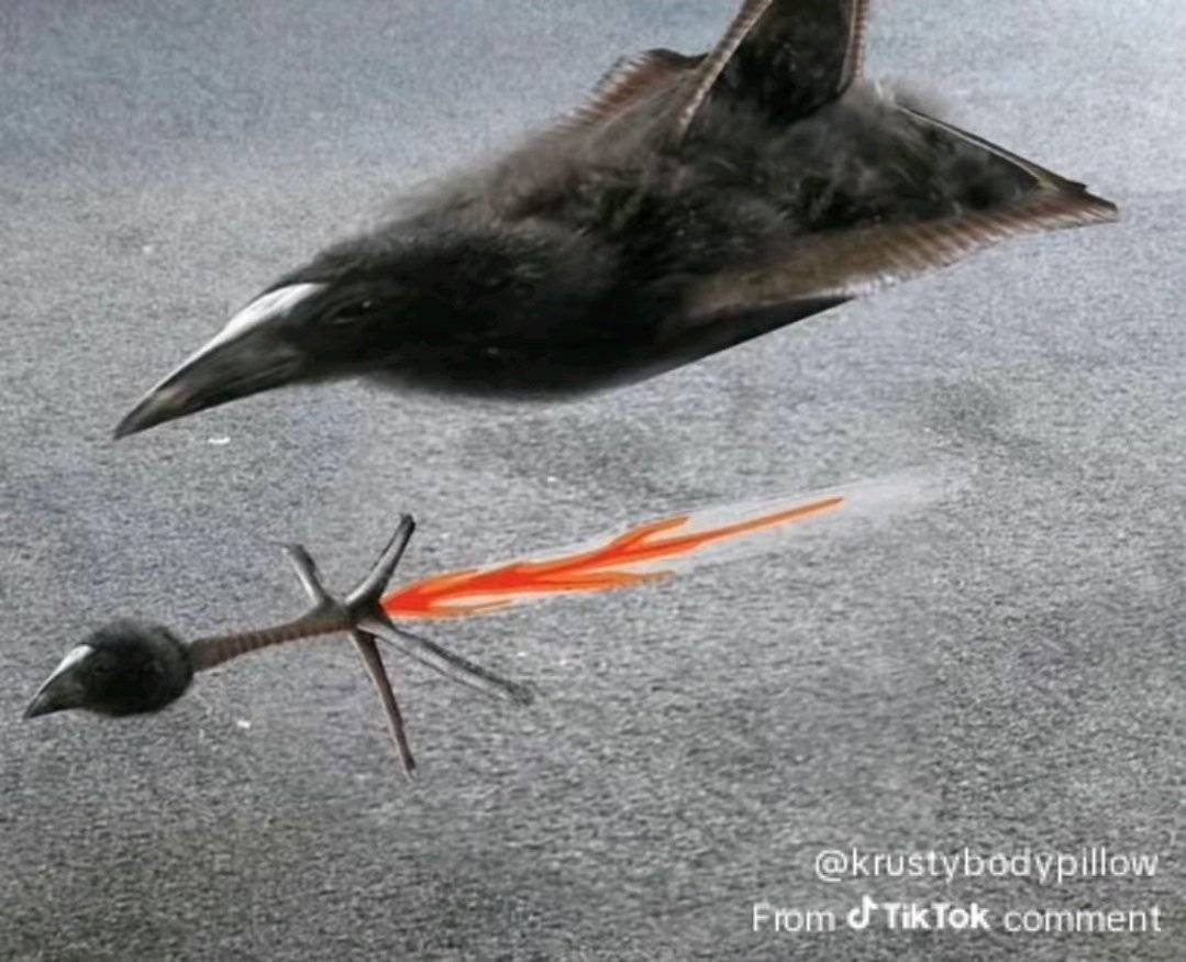 ShitpostGateway tweet media