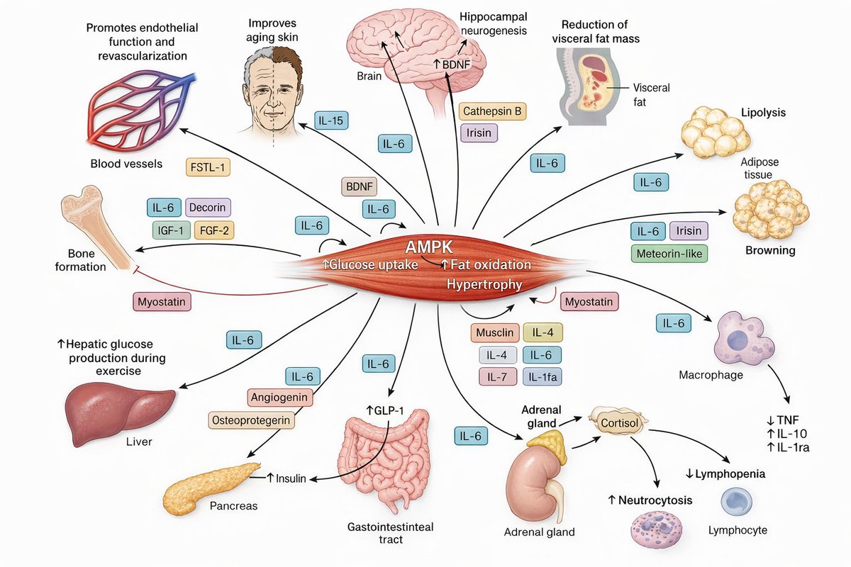 Louisa Nicola tweet media