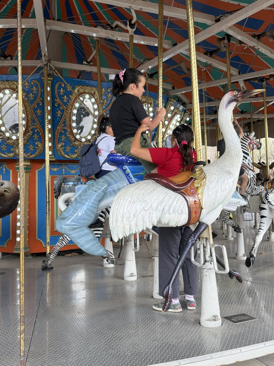 Guadalu74714705's tweet photo. Thank you to Jessie at the @SanAntonioZoo. Our Iris wanted to ride the carousel 🎠 but she had trouble seating herself. Thankfully Jessie came to her rescue. Was patient with her and guided her. Turns out it was her first day on the job! 

#5thGrade #BestZoo #SanAntonioZoo #Autism @NISDBehlau @NISD #FieldTrip #Inclusion 

🦍