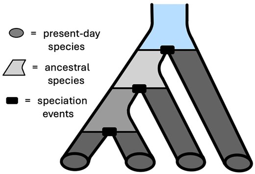 James Albert 🐟 🇺🇦 tweet media
