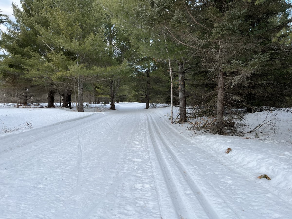 Algonquin Provincial Park tweet media