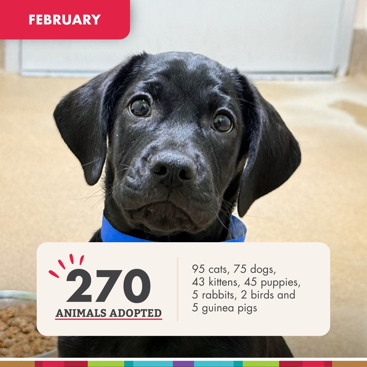 Edmonton Humane Society tweet media