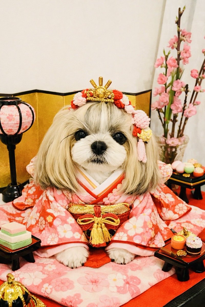 おひなさま🎎
