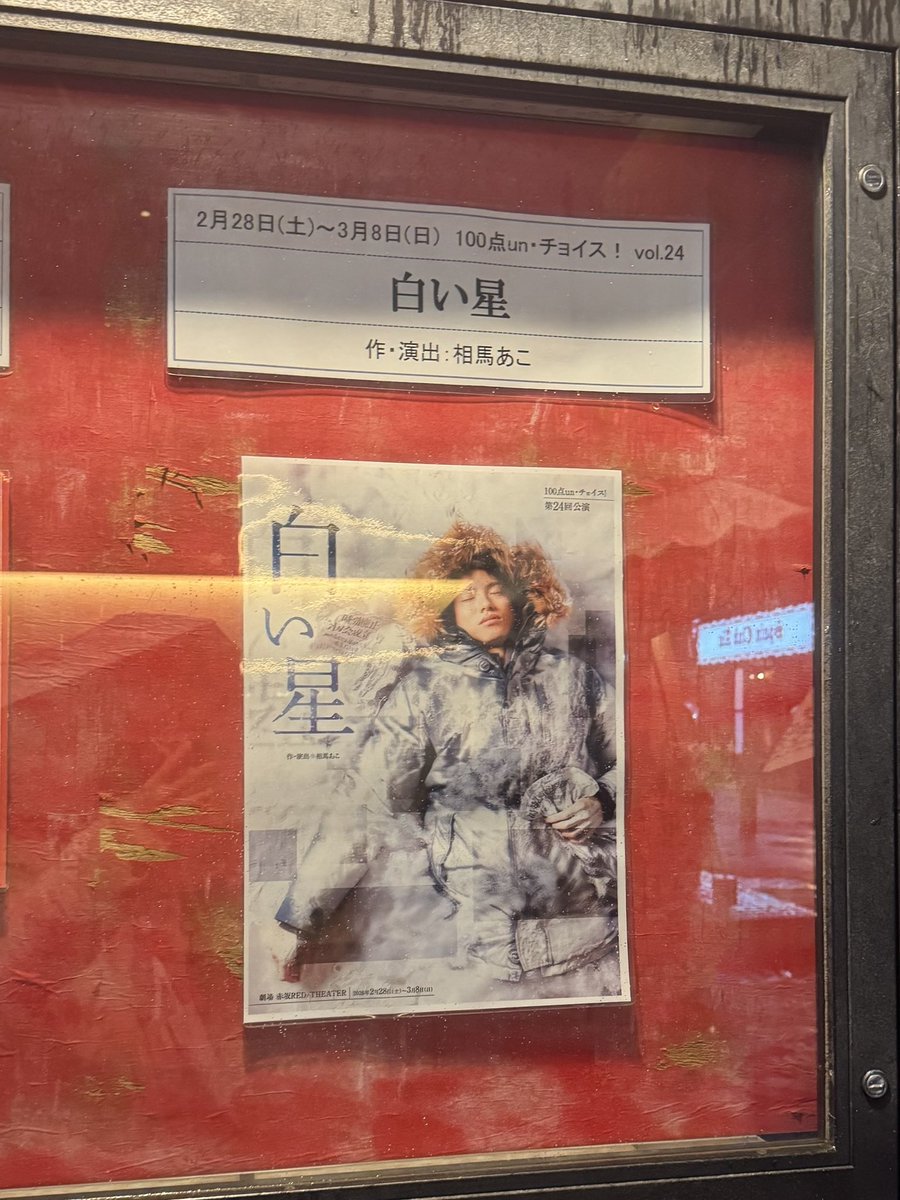 眞水 知美 Tomomi Mamizu tweet media