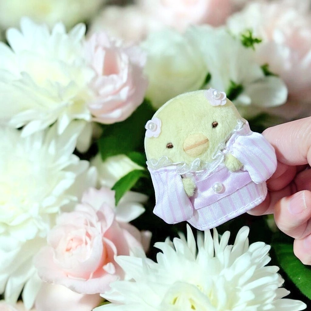 ひまわり(*^_^*)🌻 tweet media