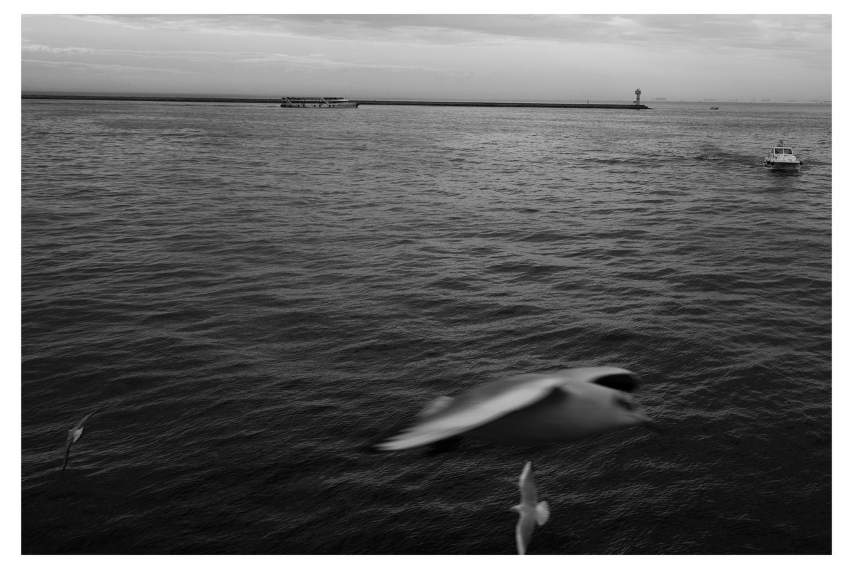 mancana🚩 (@zortingenstrabe) on Twitter photo 