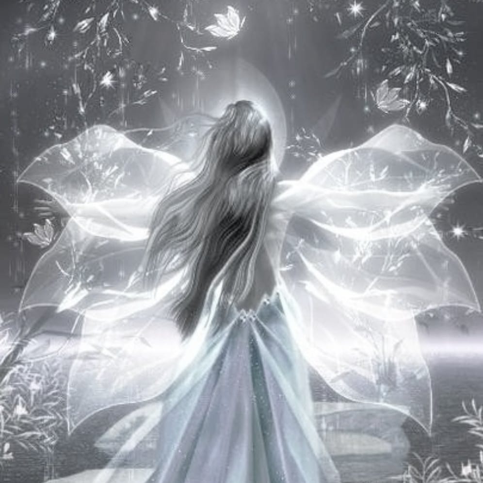 Gotitas De Sal tweet media