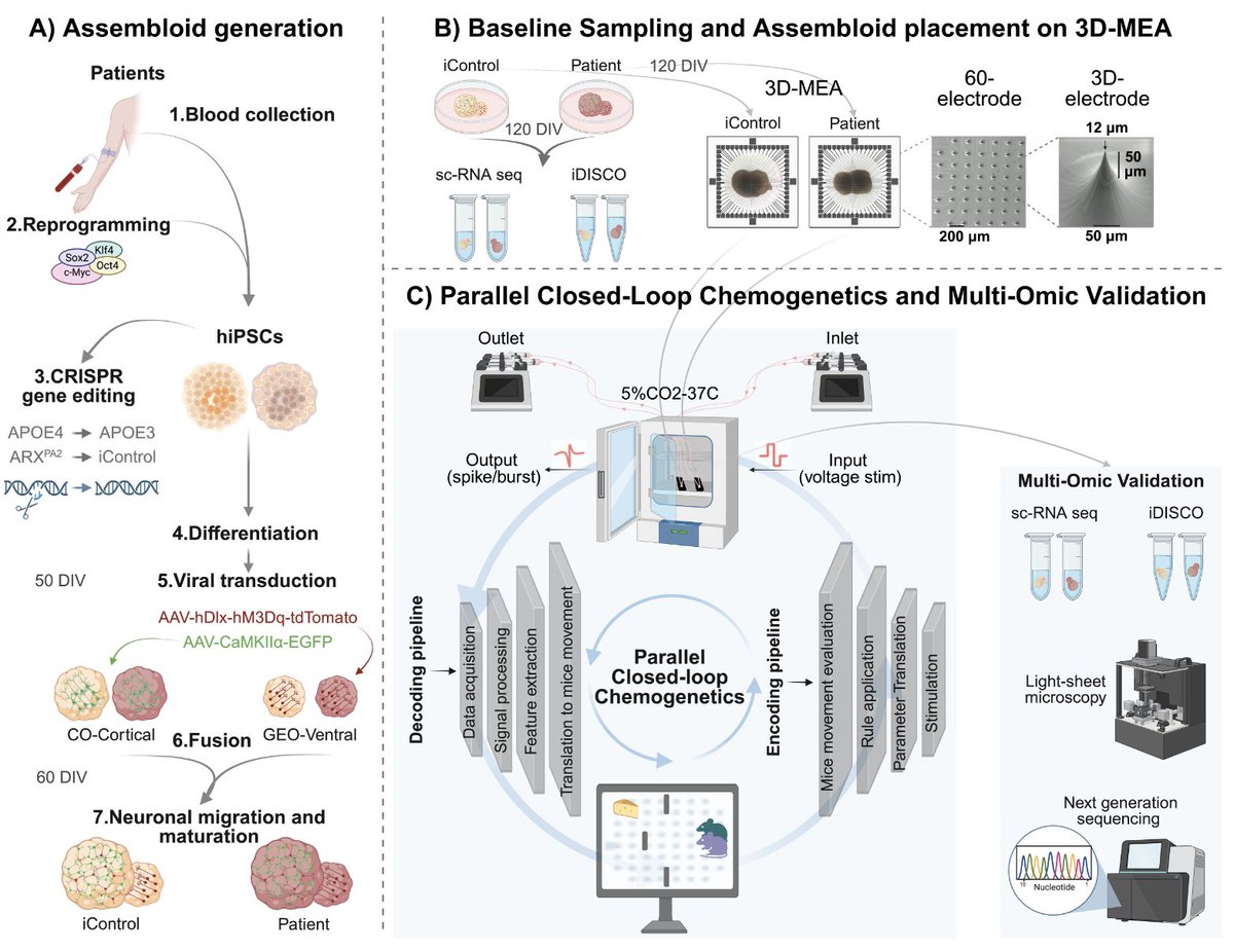 Ruslan Rust tweet media
