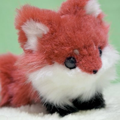 machi@3/21大阪てづばT-31 (@nf_machi) / Posts / X