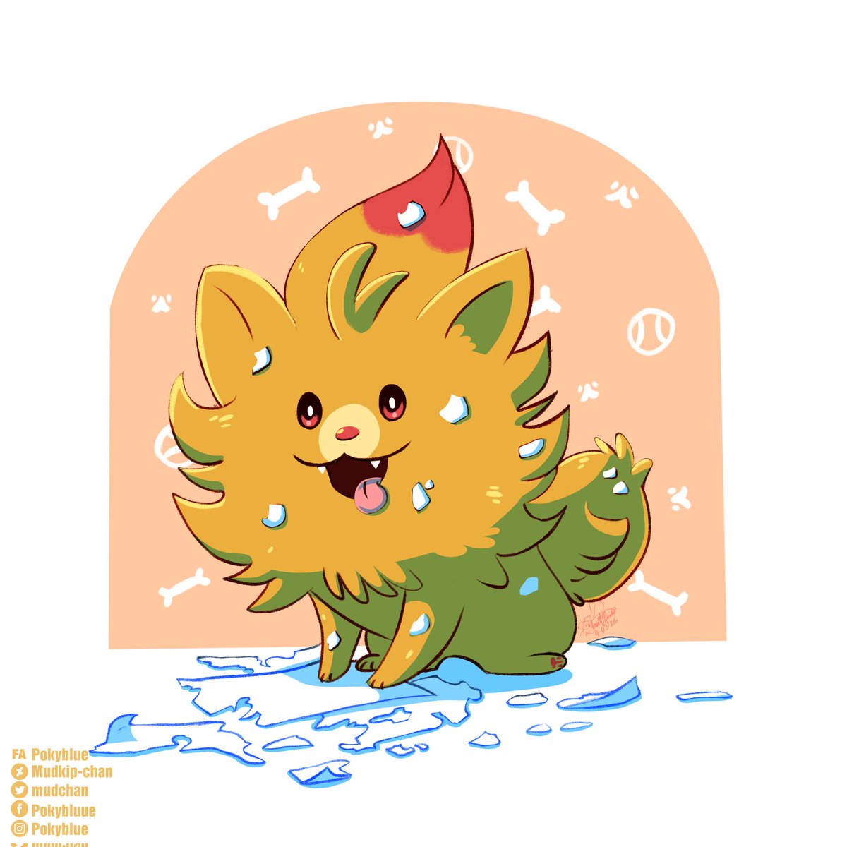 Mudchan's tweet photo. Pombom my evil fluff https://t.co/X8rAmVh48a
