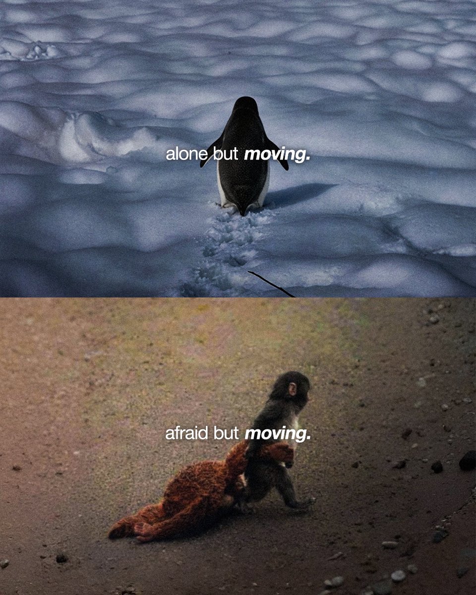 Mind Essentials (@mind_essentials) on Twitter photo 