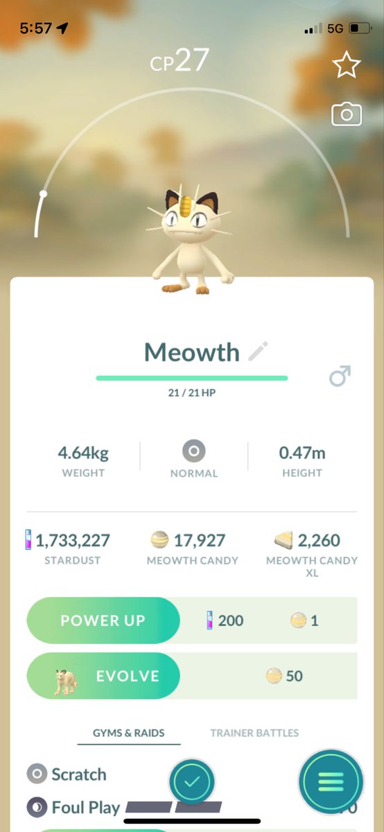 JohnPatrick_101's tweet image. #Meowth #NormalTypePokemon #PokemonGoAustralia #PokemonGo #CombatPower #MeowthCP27 #PokemonGoApp #Pokemon @PokemonGoNews