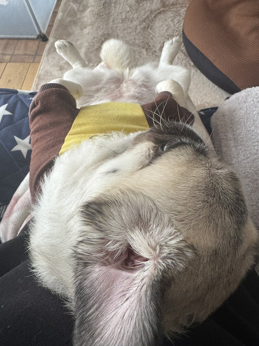 ほほん tweet media