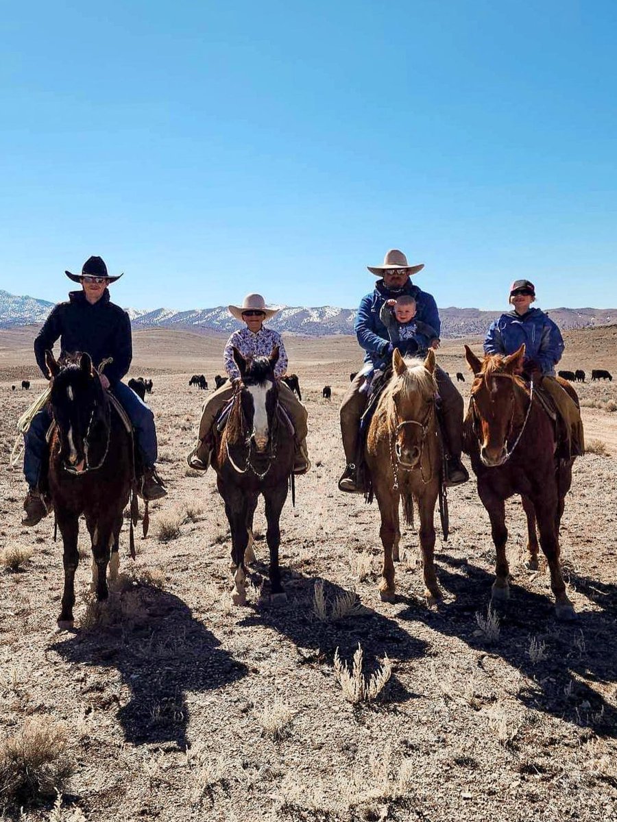 Mountain States Legal Foundation tweet media