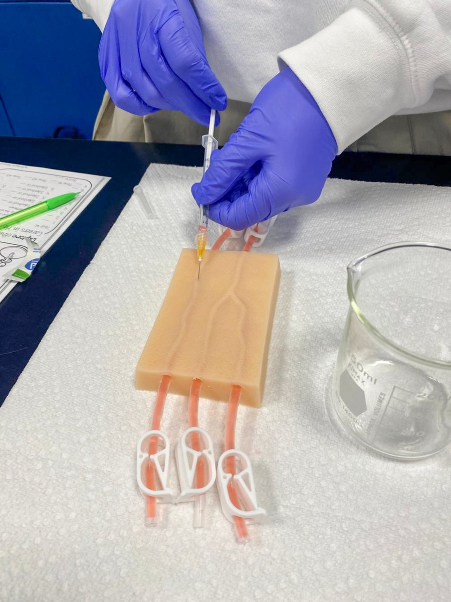 Cypress Christian tweet media