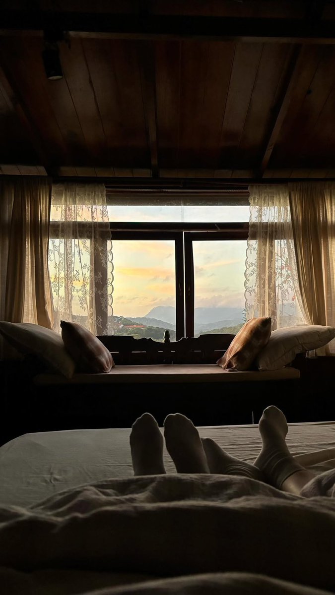 Hoàng Vân tweet media