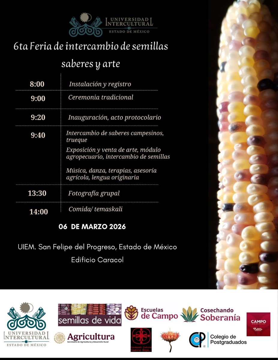 Semillas de Vida 🌽 tweet media